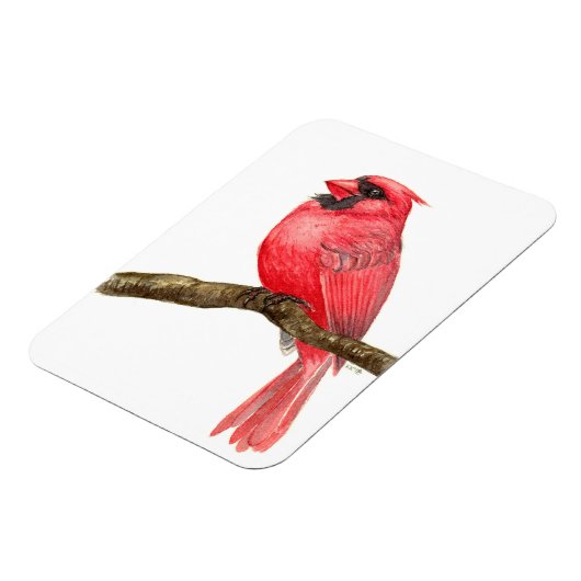 Kardinal Magnet (Linke Seite)