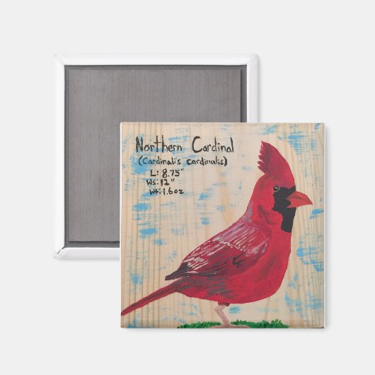 Kardinal Magnet (Vorderseite/Rückseite)