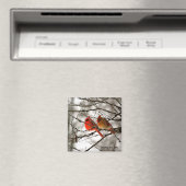 Kardinal Magnet (In Situ (Geschirrspüler))