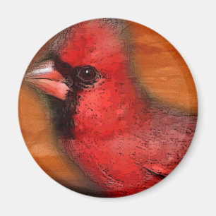 Kardinal Magnet