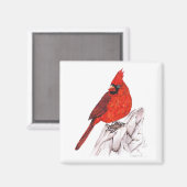 Kardinal Magnet (Vorderseite/Rückseite)