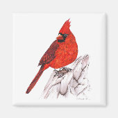 Kardinal Magnet (Vorne)