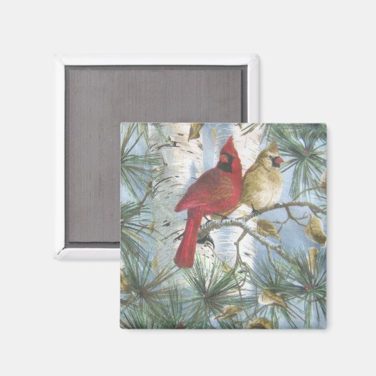 KARDINAL-MAGNET MAGNET (Vorderseite/Rückseite)