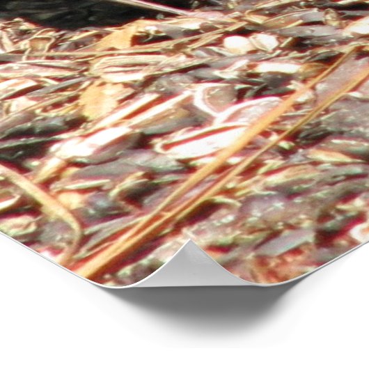 Kardinal Mama & Baby Poster (Ecke)