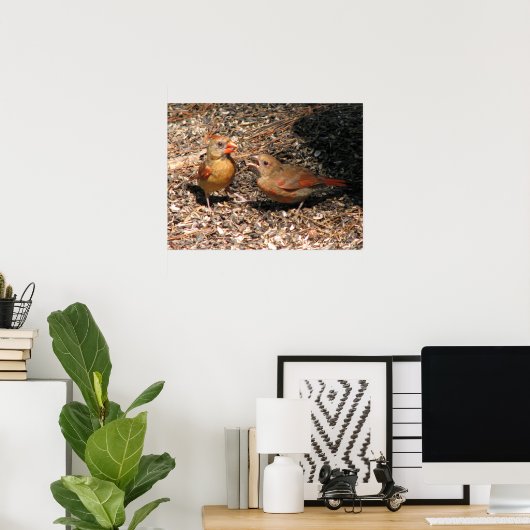 Kardinal Mama & Baby Poster (Heimbüro)