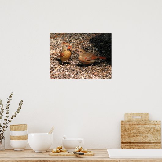 Kardinal Mama & Baby Poster (Küche)