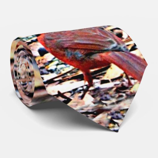 Kardinal (Mann) Krawatte (Gerollt)