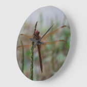 Kardinal Meadowhawk Libelle Große Wanduhr (Winkel)
