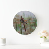 Kardinal Meadowhawk Libelle Große Wanduhr (Zuhause)
