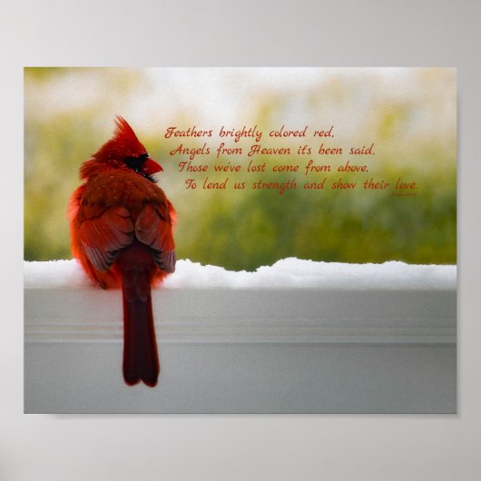 Kardinal mit Besucher aus dem Himmel Gedicht 10x8 Poster (Vorne)