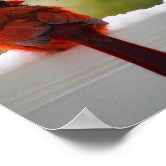 Kardinal mit Besucher aus dem Himmel Gedicht 12x8 Poster (Ecke)