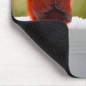 Kardinal mit Besucher aus dem Himmelsgedicht Mousepad (Ecke)