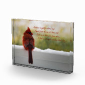 Kardinal mit Besucher vom Himmelsgedicht Fotoblock (Rechts)