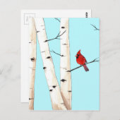 Kardinal mit Birkenbäumen Postkarte (Vorne/Hinten)