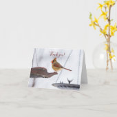 Kardinal-Mittagessen bei Weibchen dank Karte (Gelbe Blume)