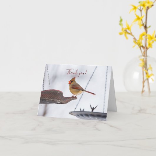 Kardinal-Mittagessen bei Weibchen dank Karte (Gelbe Blume)