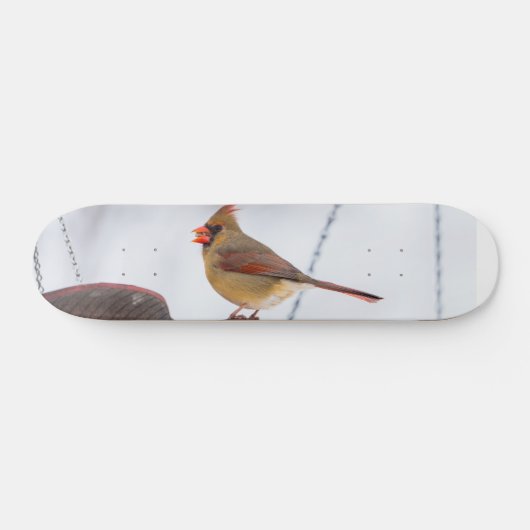 Kardinal mittags Skateboard (Horizontal)