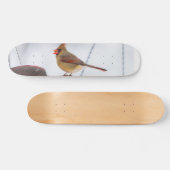 Kardinal mittags Skateboard (Horizontal)