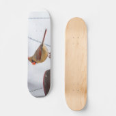Kardinal mittags Skateboard (Vorderseite)