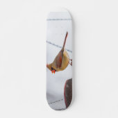 Kardinal mittags Skateboard (Vorne)