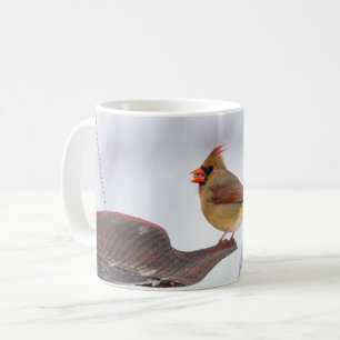 Kardinal mittags Tasse Kaffee