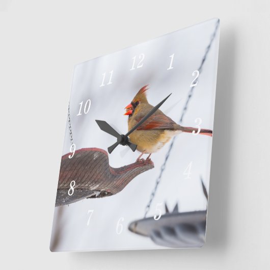 Kardinal-Mittagszeit Uhr (Winkel)