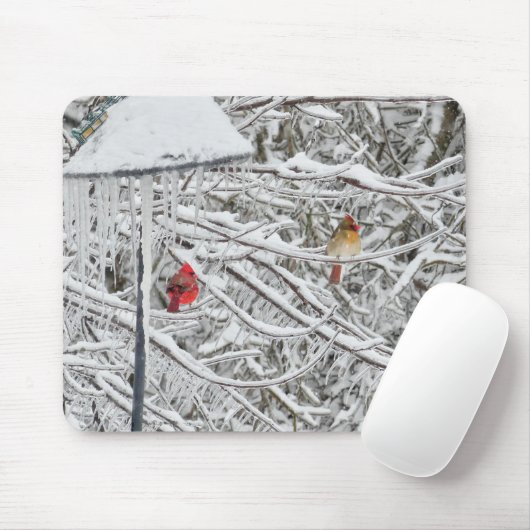 Kardinal Mousepad (Mit Mouse)