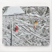 Kardinal Mousepad (Vorne)