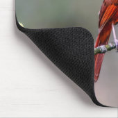 Kardinal Mousepad (Ecke)