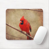 Kardinal Mousepad (Mit Mouse)
