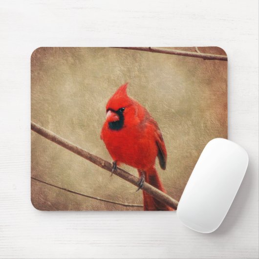 Kardinal Mousepad (Mit Mouse)