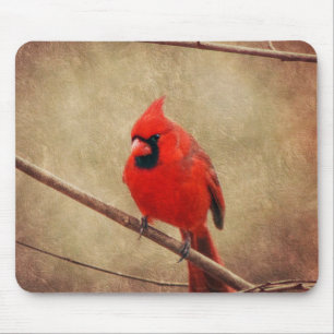 Kardinal Mousepad