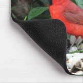 Kardinal Mousepad (Ecke)