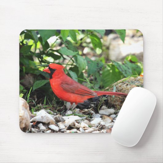 Kardinal Mousepad (Mit Mouse)
