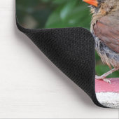 Kardinal Mousepad (Ecke)