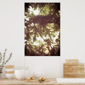Kardinal Nest Poster (Küche)