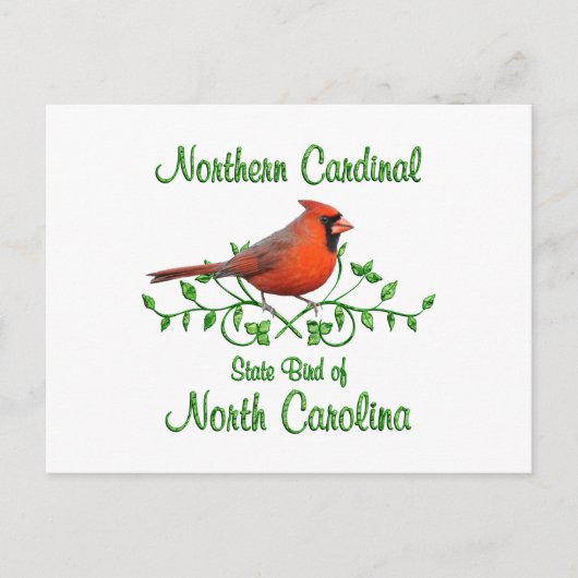 Kardinal North Carolina Bird Postkarte (Vorderseite)