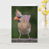 Kardinal-Note-Karte Karte (Gelbe Blume)