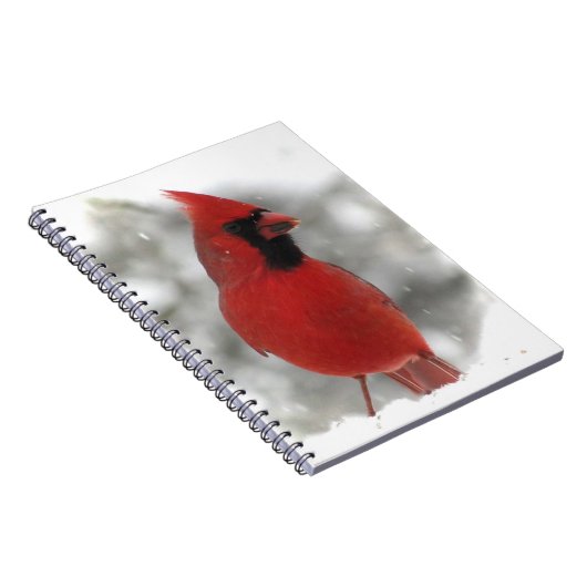 Kardinal Notizblock (Rechte Seite)