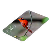 Kardinal Ohio Magnet (Linke Seite)