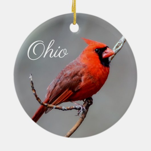 Kardinal Ohio Ornament (Hinten)