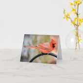 Kardinal on the shepherds hook blank inside karte (Gelbe Blume)