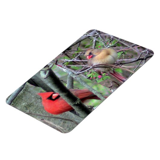 Kardinal Pair Flexble Magnet (Linke Seite)