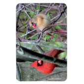 Kardinal Pair Flexble Magnet (Vertikal)