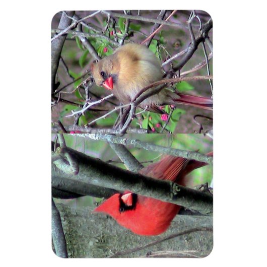 Kardinal Pair Flexble Magnet (Vertikal)