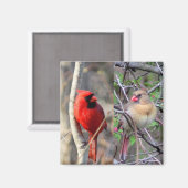 Kardinal Pair Magnet (Vorderseite/Rückseite)