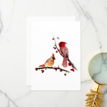 Kardinal Pair Watercolor