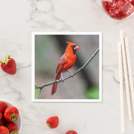 Kardinal Paper Napkin Serviette (Beispiel)