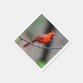 Kardinal Paper Napkin Serviette (Ecke)