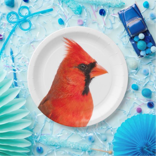 Kardinal Pappteller (Party)